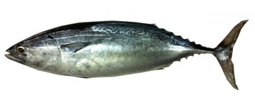 Konten Berita